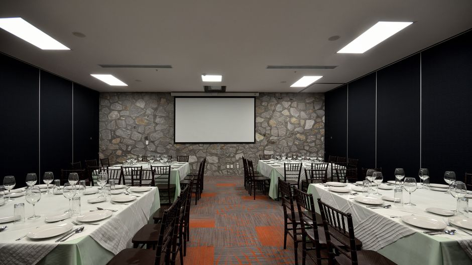 Holiday Inn Express Pachuca Meeting