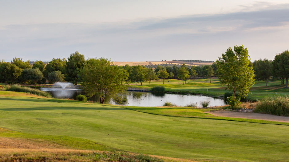 Exe Layos Golf Exterior