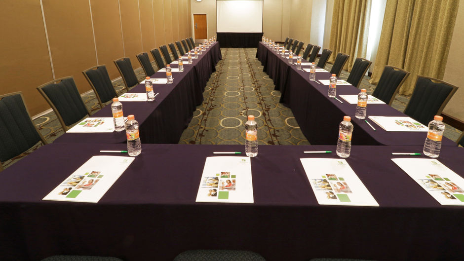 Holiday Inn Hotel/Suites Hermosillo Arpt Meeting