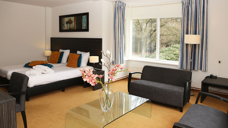 Fletcher Hotel de Eese-Giethorn Room