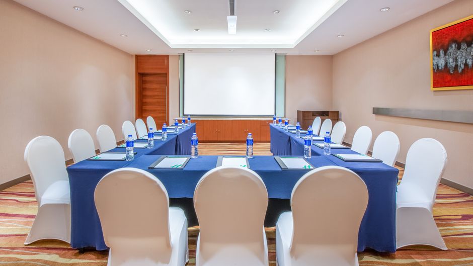 Holiday Inn Nanjing Aqua City Meeting