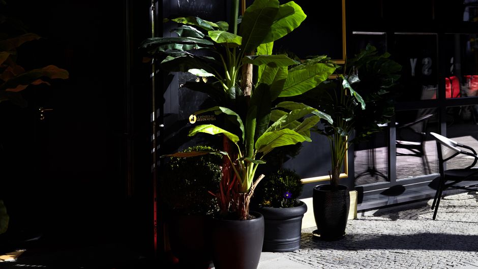 Hotel Provocateur, a Design Hotel Exterior
