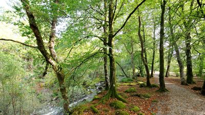 Gidleigh Park
