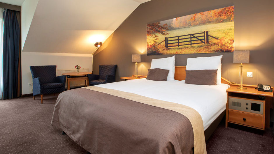 Fletcher Hotel-Restaurant Klein Zwitserl Room