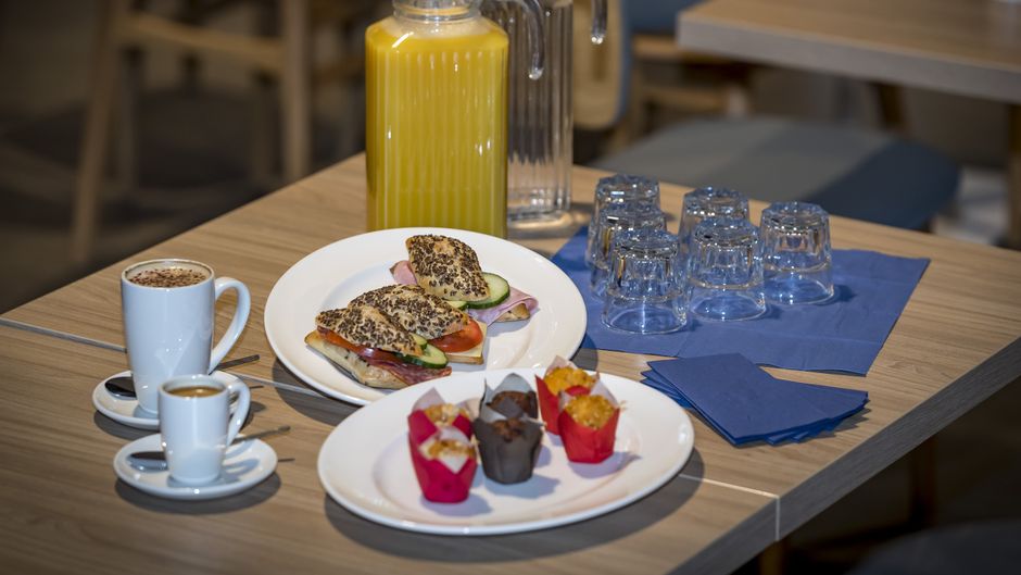 Holiday Inn Express Luzern Kriens Meeting
