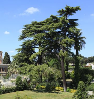 Hotel Degli Artisti