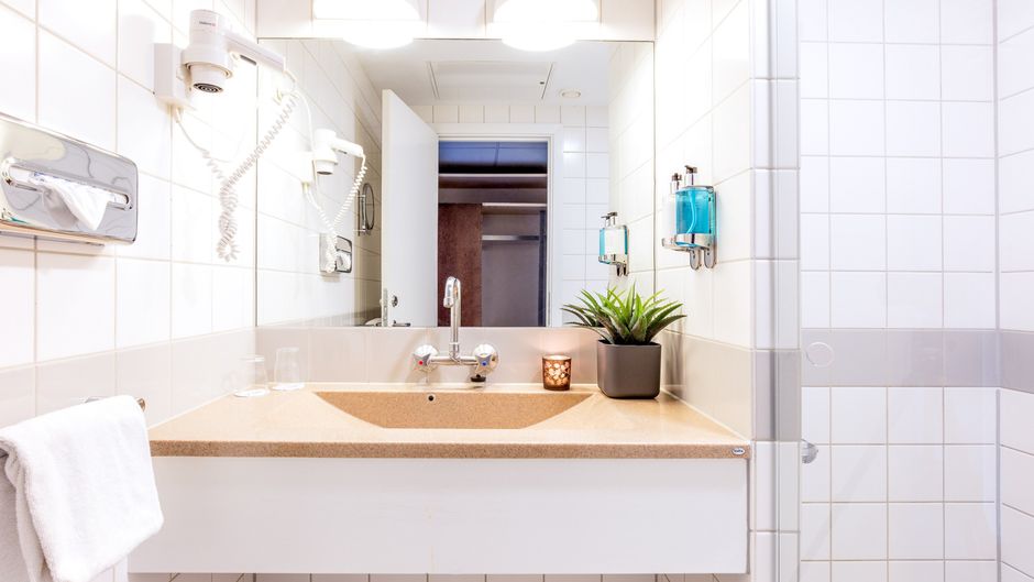 Hotel Lautrup Park Room