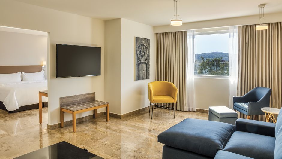 Fiesta Inn Periferico Poniente Other