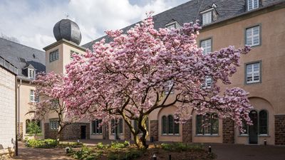 Kardinal Schulte Haus
