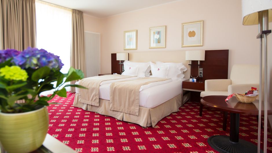 Hotel Koenig Ludwig II Room