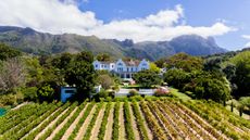 The Cellars Hohenort Hotel