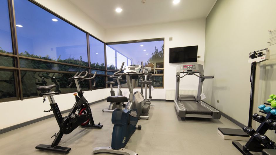 Holiday Inn Express Temuco Hotel Health Club