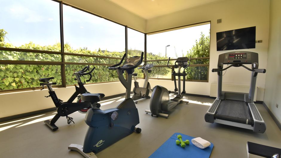 Holiday Inn Express Temuco Hotel Health Club