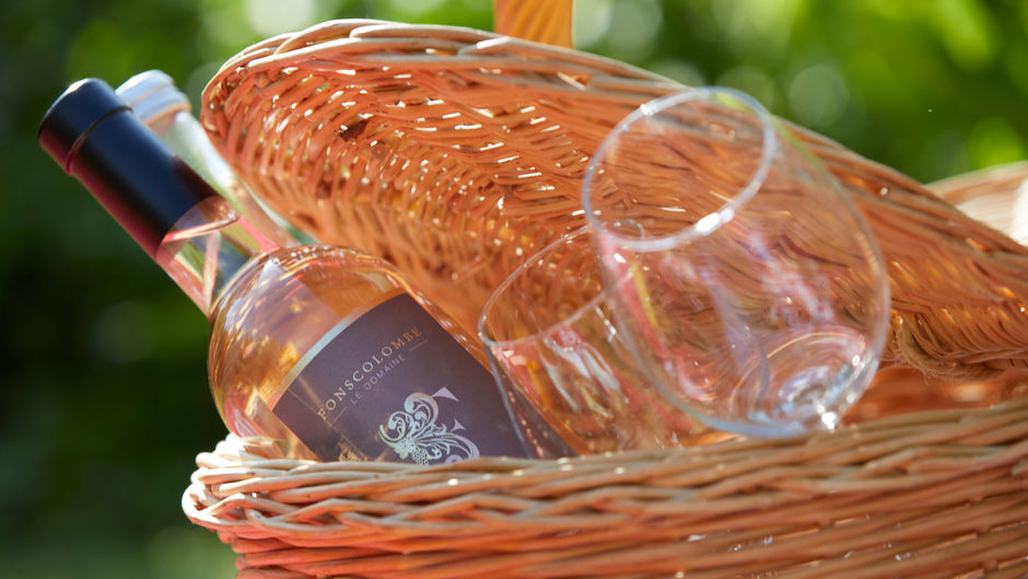 Chateau d'Audrieu Recreation
