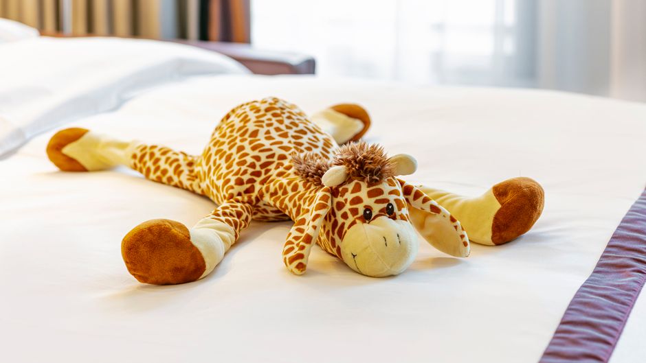 Crowne Plaza Amsterdam - South Suite
