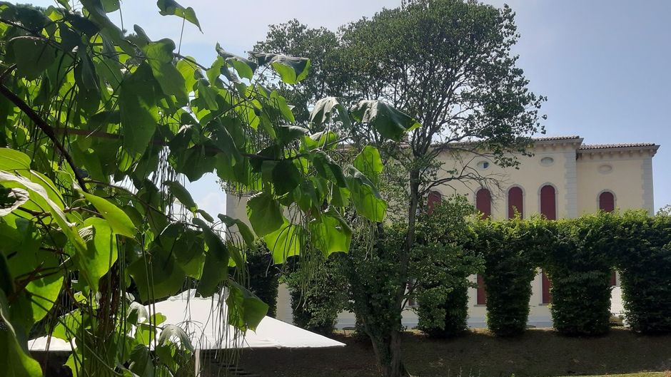 Villa Soligo Hotel Pool