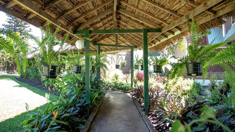 Bird of Paradise Hotel and Apartments Lobby