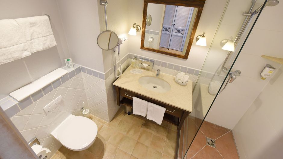 Hotel Hirschen Freiburg Room