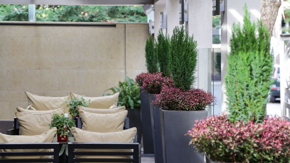 The Y Hotel Exterior