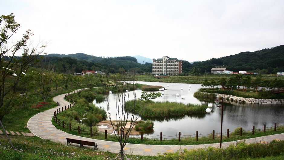 Holiday Inn Suites Alpensia Pyeongchang Other