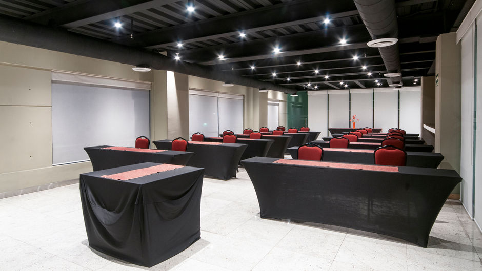 Holiday Inn Buenavista Meeting