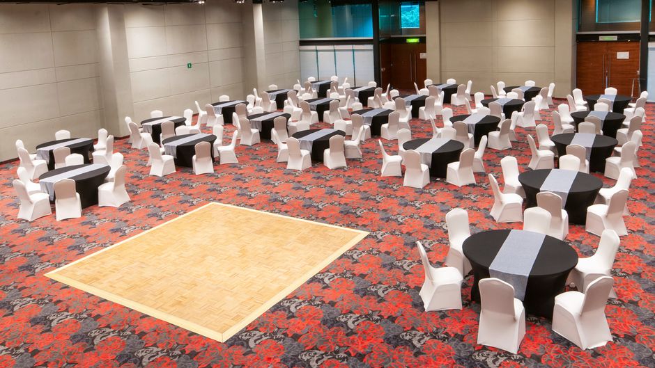Holiday Inn Buenavista Ballroom
