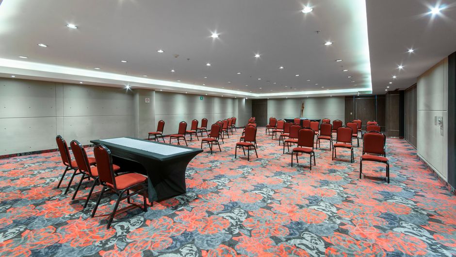 Holiday Inn Buenavista Meeting