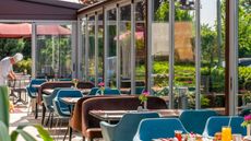 Ibis Bursa