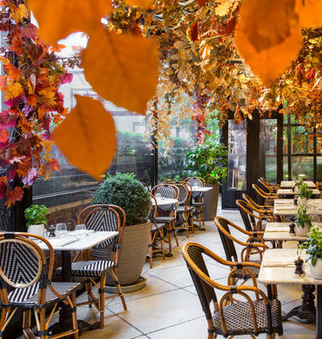 The Bloomsbury Hotel