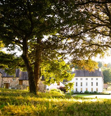 The Grove of Narberth