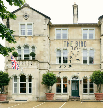 The Bird