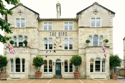 The Bird