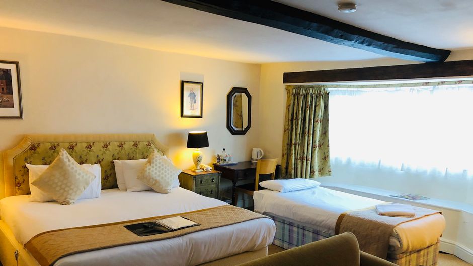 Brook Whipper-In Hotel Room