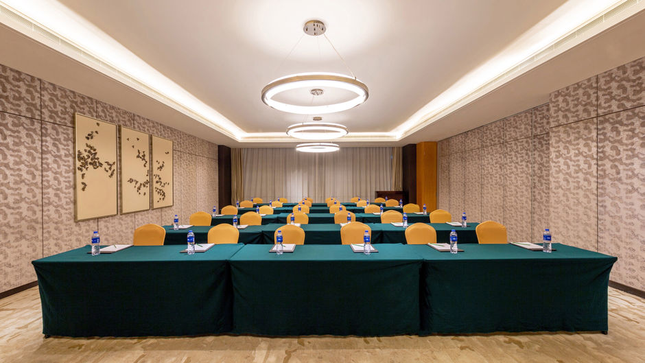 Holiday Inn Nanjing Xuanwu Lake Meeting