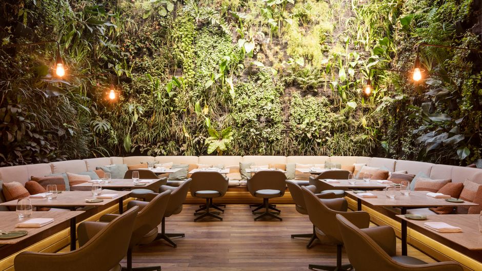 The Emiliano Rio Restaurant