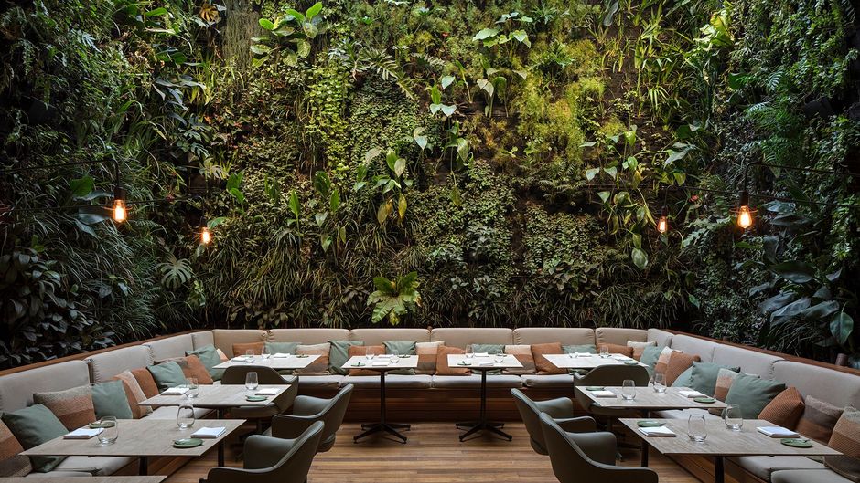 The Emiliano Rio Restaurant