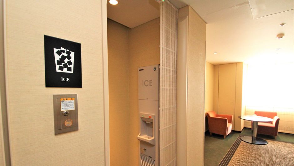 Holiday Inn ANA Sendai Other
