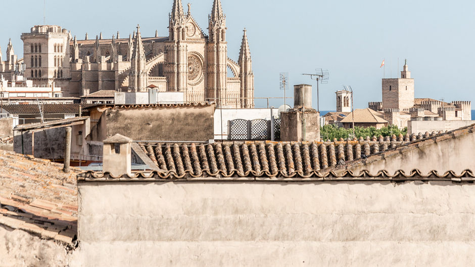 Concepcio by Nobis Other