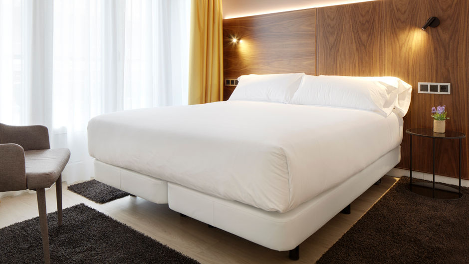 Hotel Arrizul Congress Room