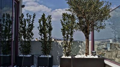 Novus City Hotel