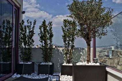 Novus City Hotel