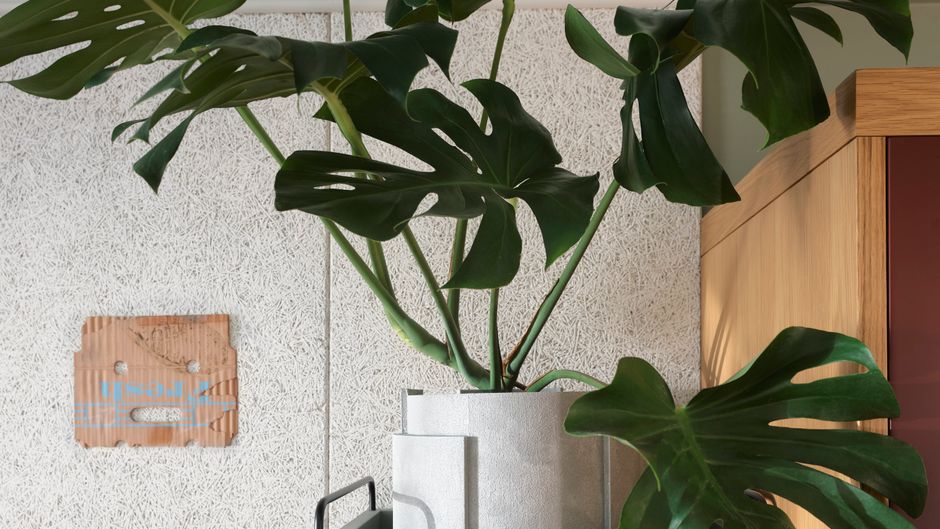 ACE Hotel Sydney Lobby
