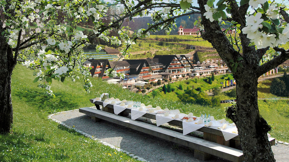 Dollenberg Hotel Restaurant