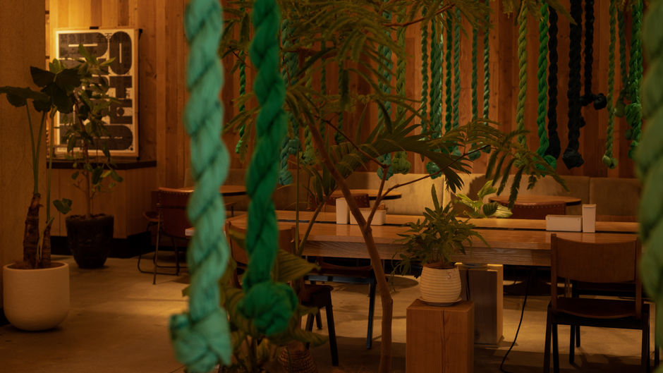 Trunk Hotel Other