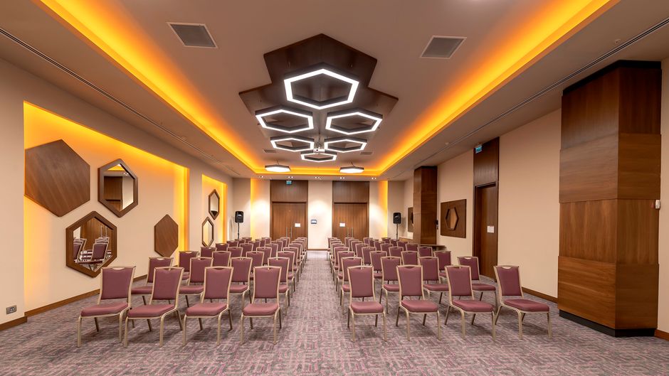 Holiday Inn Kayseri Duvenonu Meeting