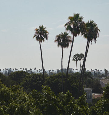L'Ermitage Beverly Hills