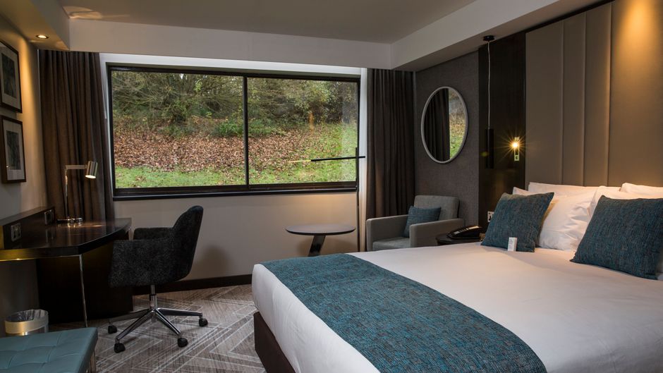 Crowne Plaza Basingstoke Room