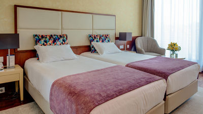 VIP Executive Art's Hotel