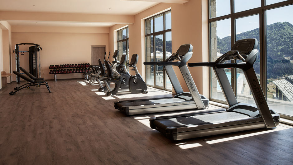 Grand Forest Hotel Metsovo Recreation