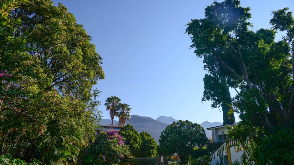 Hotel Hacienda Los Laureles - Spa Exterior